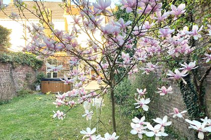 042 La Maison Bleue Ronse