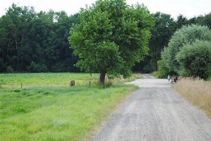 010 Prachtig gelegen 8 persoons vakantiehuis nabij mooi landgoed