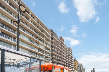 014 Godderis   C 67G