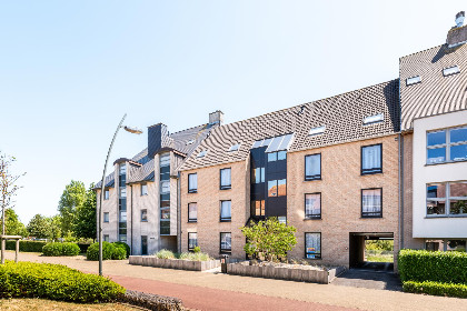 018 Ardoise des dunes