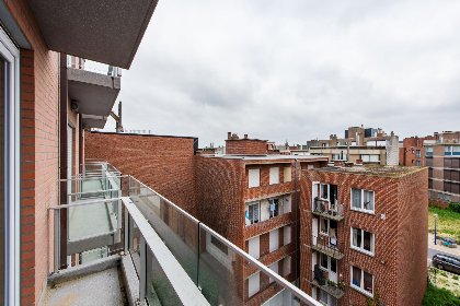 008 De Meeuwen vijfde