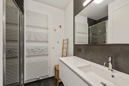 009 De Meeuwen vijfde