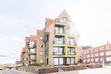 018 Delfien Eerste