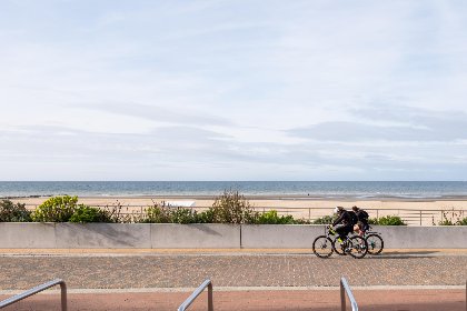 019 Delfien Eerste