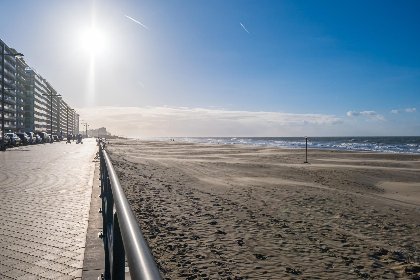 016 Brisbane II   0202   parking 35 (Zeegalm)