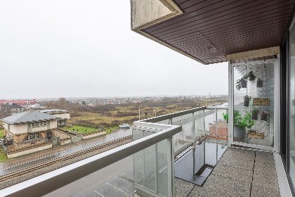 002 Brisbane II   0403   box 59 (Zeegalm)