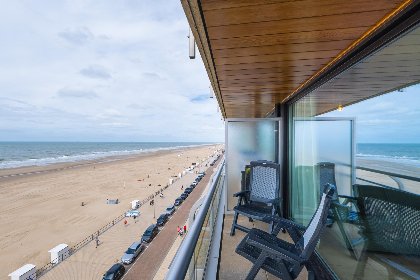 002 Darwin II   0605   box 41 (Green Garden)