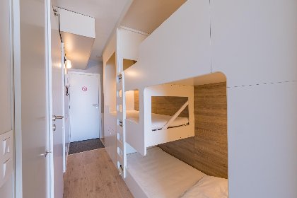 009 Darwin II   0605   box 41 (Green Garden)