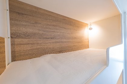 010 Darwin II   0605   box 41 (Green Garden)