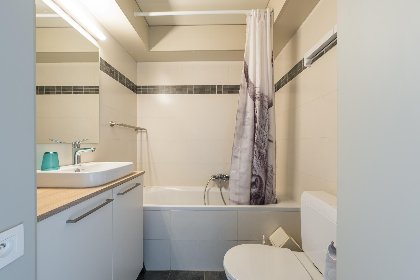 011 Darwin II   0605   box 41 (Green Garden)