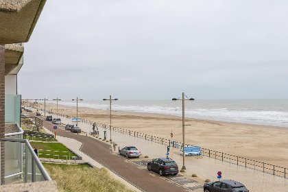 002 Duinroos   0204   park. 0204