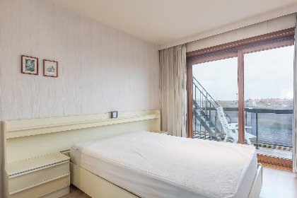 008 Duinroos   0204   park. 0204