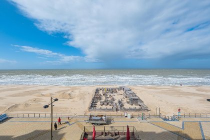 003 Emperador   0401