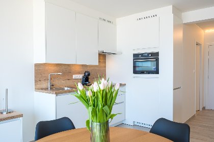 006 Emperador   0401