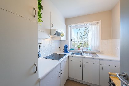 007 Green Garden blok 4   0102   box 51