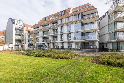 005 Green Lane The Park   0004   box 41