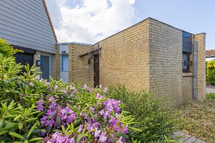 010 Krokopark   Nr. 4