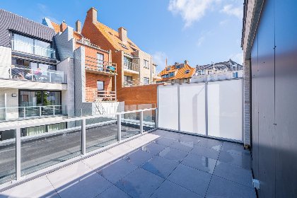 011 Matisse   0101   box 8