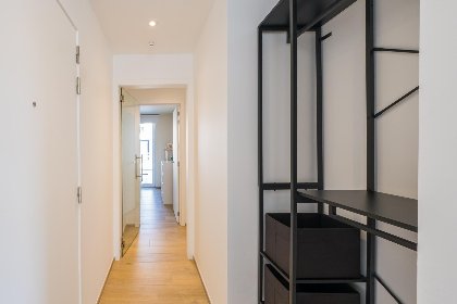 012 Matisse   0101   box 8