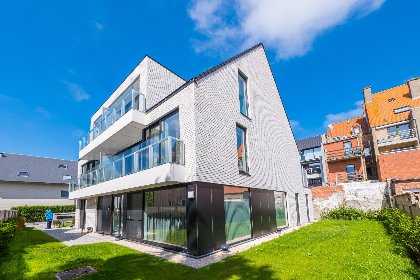 020 Matisse   0101   box 8