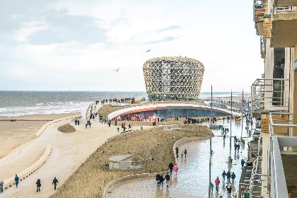 004 Mesanges   0401   box 1/2 (Peter Pan)