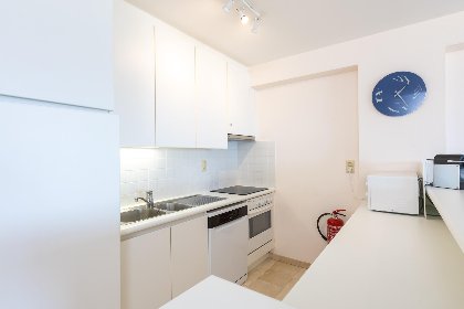 010 Mesanges   0401   box 1/2 (Peter Pan)