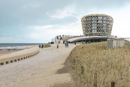 015 Mesanges   0401   box 1/2 (Peter Pan)