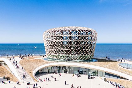 009 Michelangelo   0605