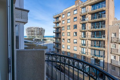 002 Scholekster   0004   box 000