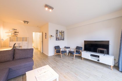 003 Scholekster   0004   box 000