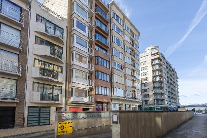 005 Scholekster   0004   box 000