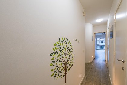 011 Scholekster   0004   box 000