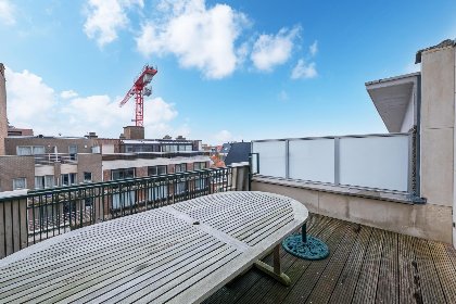 015 Scholekster   0004   box 000