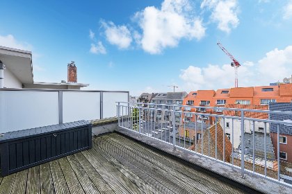 016 Scholekster   0004   box 000