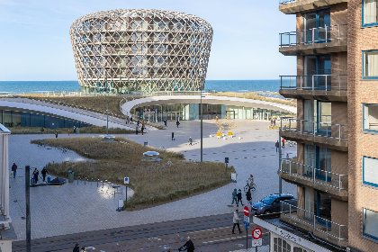 017 Scholekster   0004   box 000