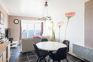 Stella 0701 Stella 0701