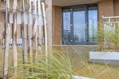 018 Sun Beach   0802