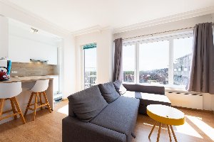 Sunflower 0705 Sunflower 0705