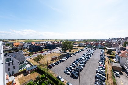 003 Sunflower   0705