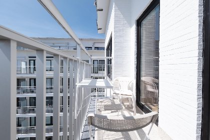 004 Sunflower   0705