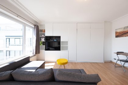 005 Sunflower   0705