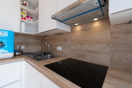 008 Sunflower   0705