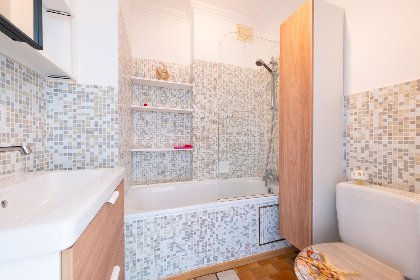 011 Sunflower   0705