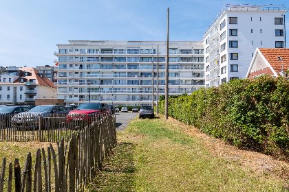 012 Sunflower   0705