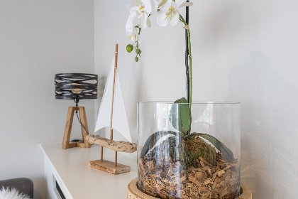 008 Vandenheuvel   0406