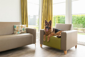 Comfort Lodge | 6 personen (50 m²)   Honden toegelaten