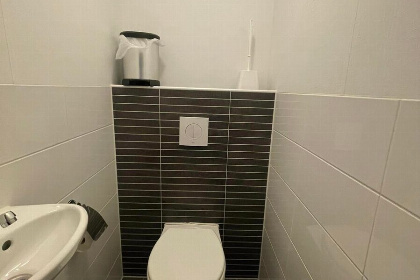 008 Comfort Lodge | 6 personen (50 m²)   Honden toegelaten