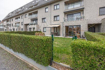 021 Lotus   0003   park. 3