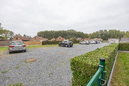 023 Lotus   0003   park. 3