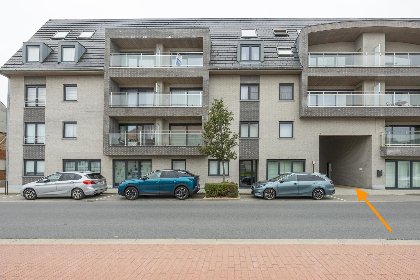 024 Lotus   0003   park. 3